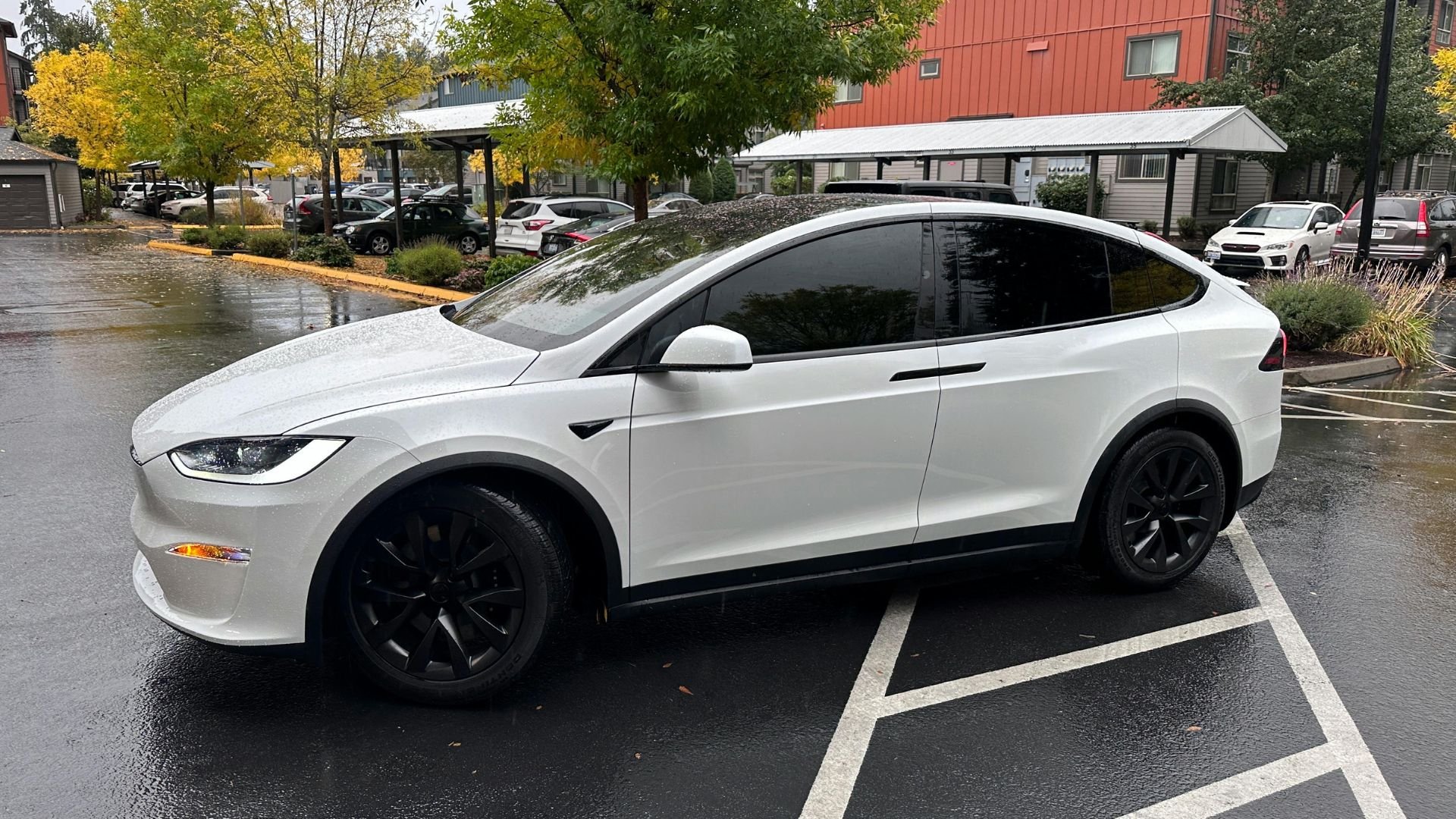 White Tesla Model X parked in rainy lot with autumn trees